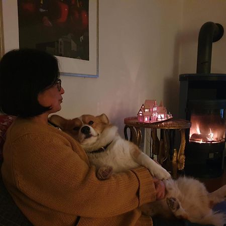 Eifel Ferienhaus Luna Ohlenhard Bagian luar foto