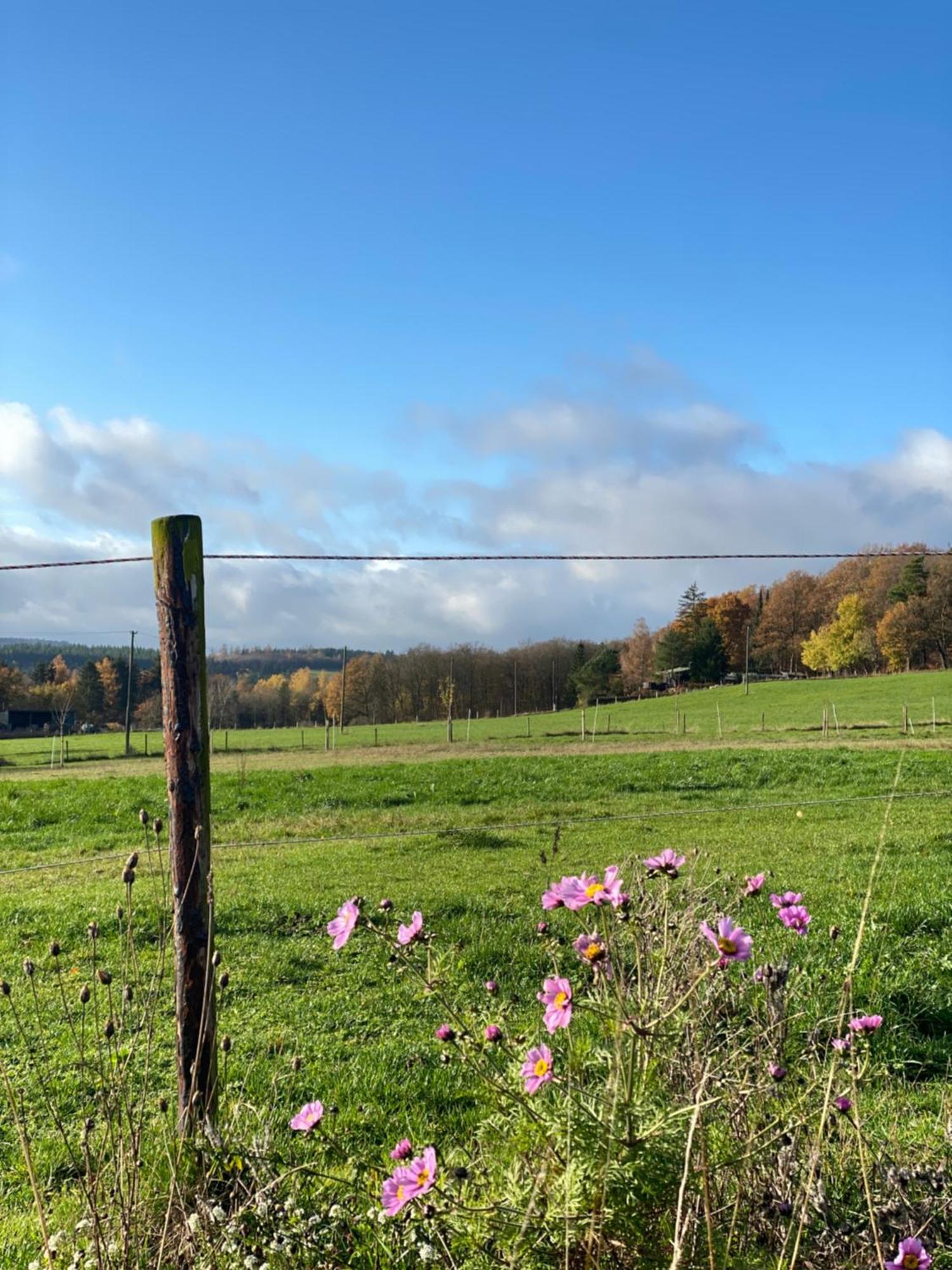 Eifel Ferienhaus Luna Ohlenhard Bagian luar foto