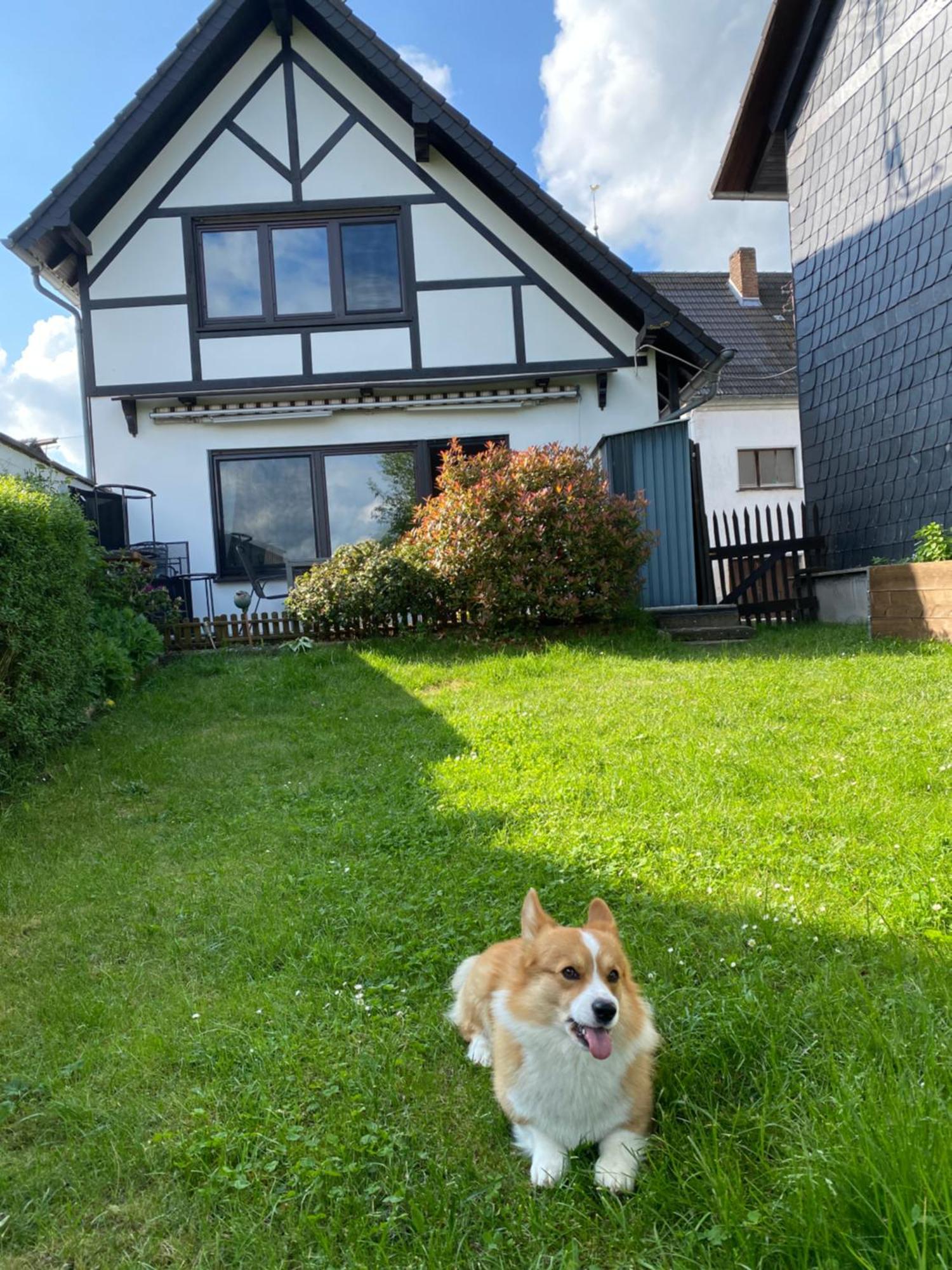 Eifel Ferienhaus Luna Ohlenhard Bagian luar foto