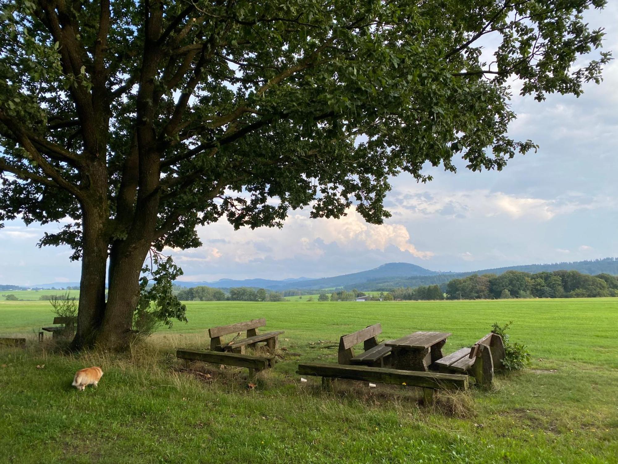 Eifel Ferienhaus Luna Ohlenhard Bagian luar foto