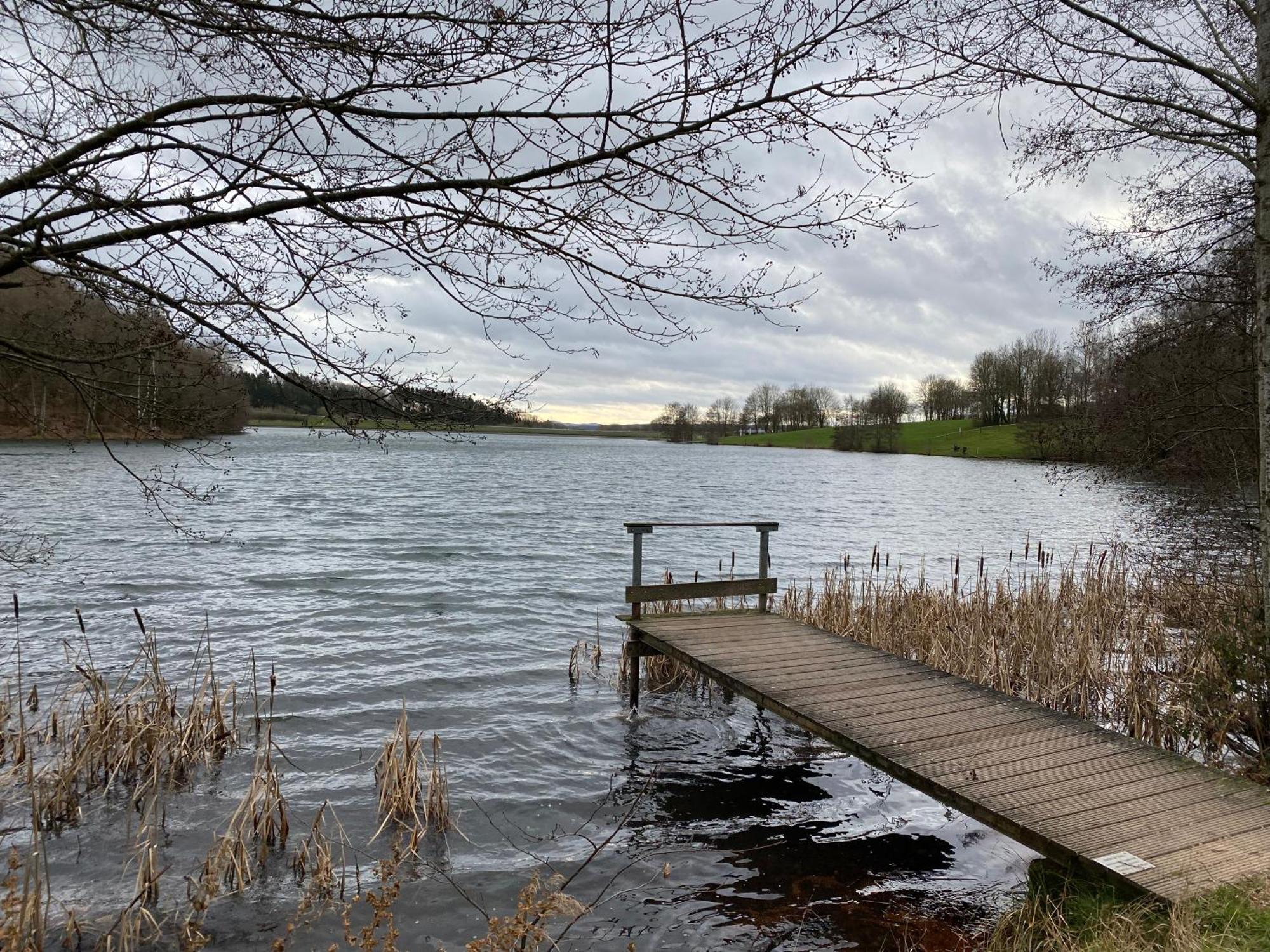 Eifel Ferienhaus Luna Ohlenhard Bagian luar foto