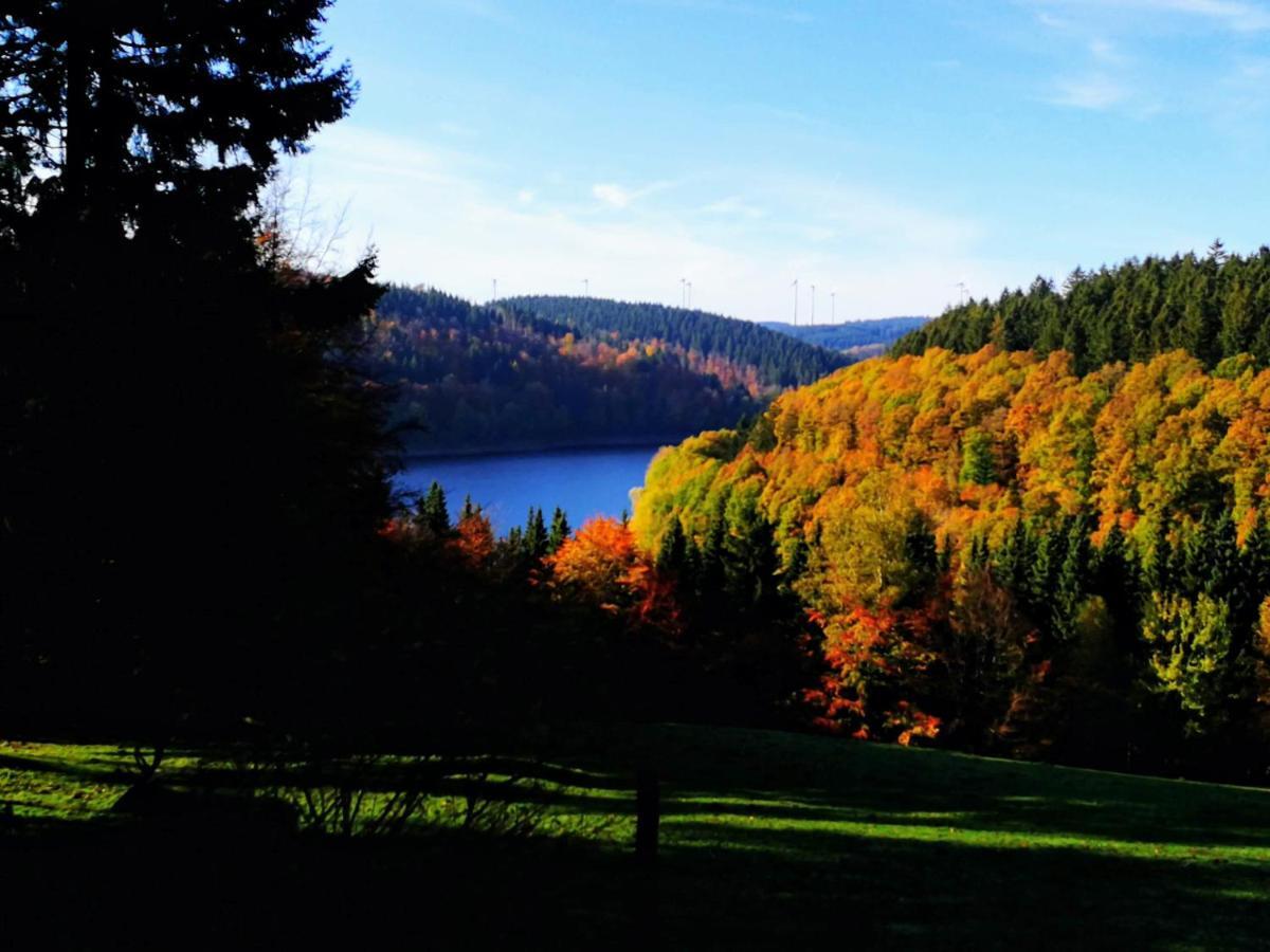 Eifel Ferienhaus Luna Ohlenhard Bagian luar foto